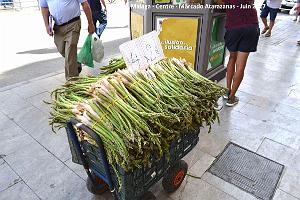146- Malaga Atarazanas